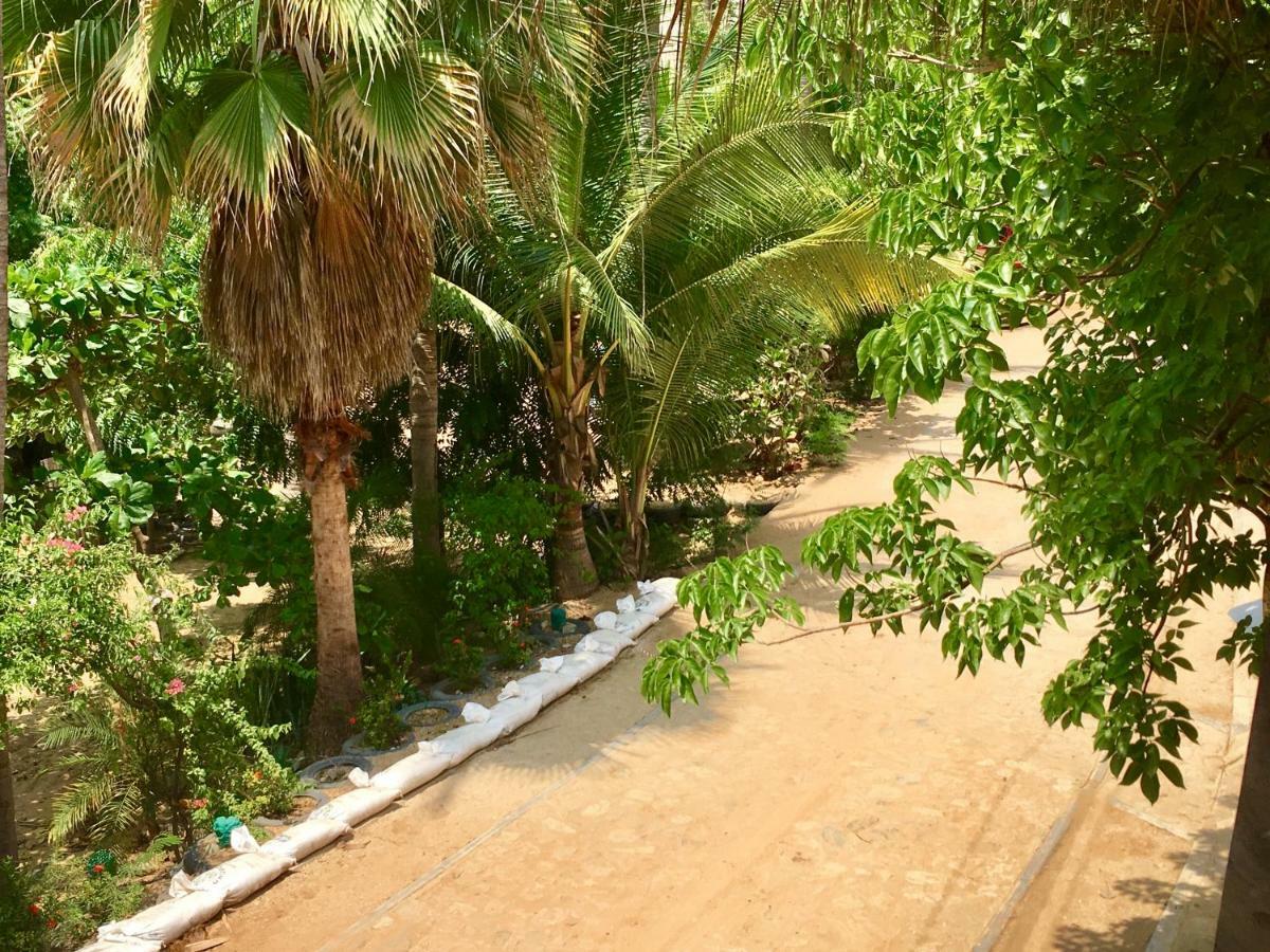 Hotel Rinconcito De Mazunte Santa María Tonameca المظهر الخارجي الصورة